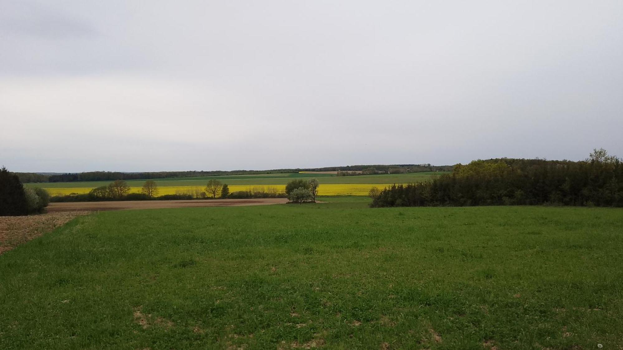 Almafás Vendégház Őrség Kerkakutas Exterior foto