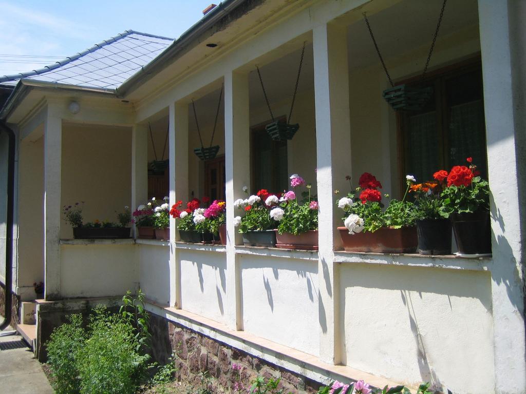 Almafás Vendégház Őrség Kerkakutas Exterior foto